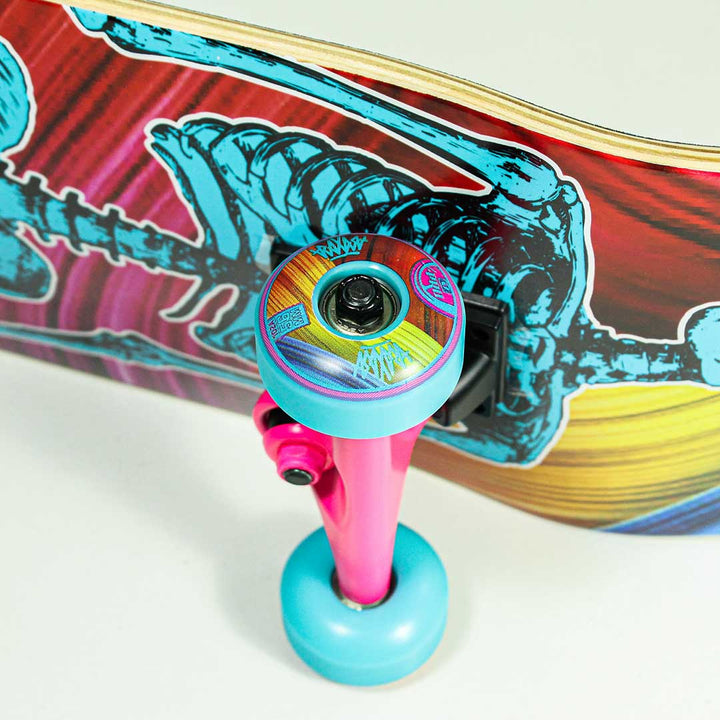 Skate X-Pro Skeleton Azul DZ-008